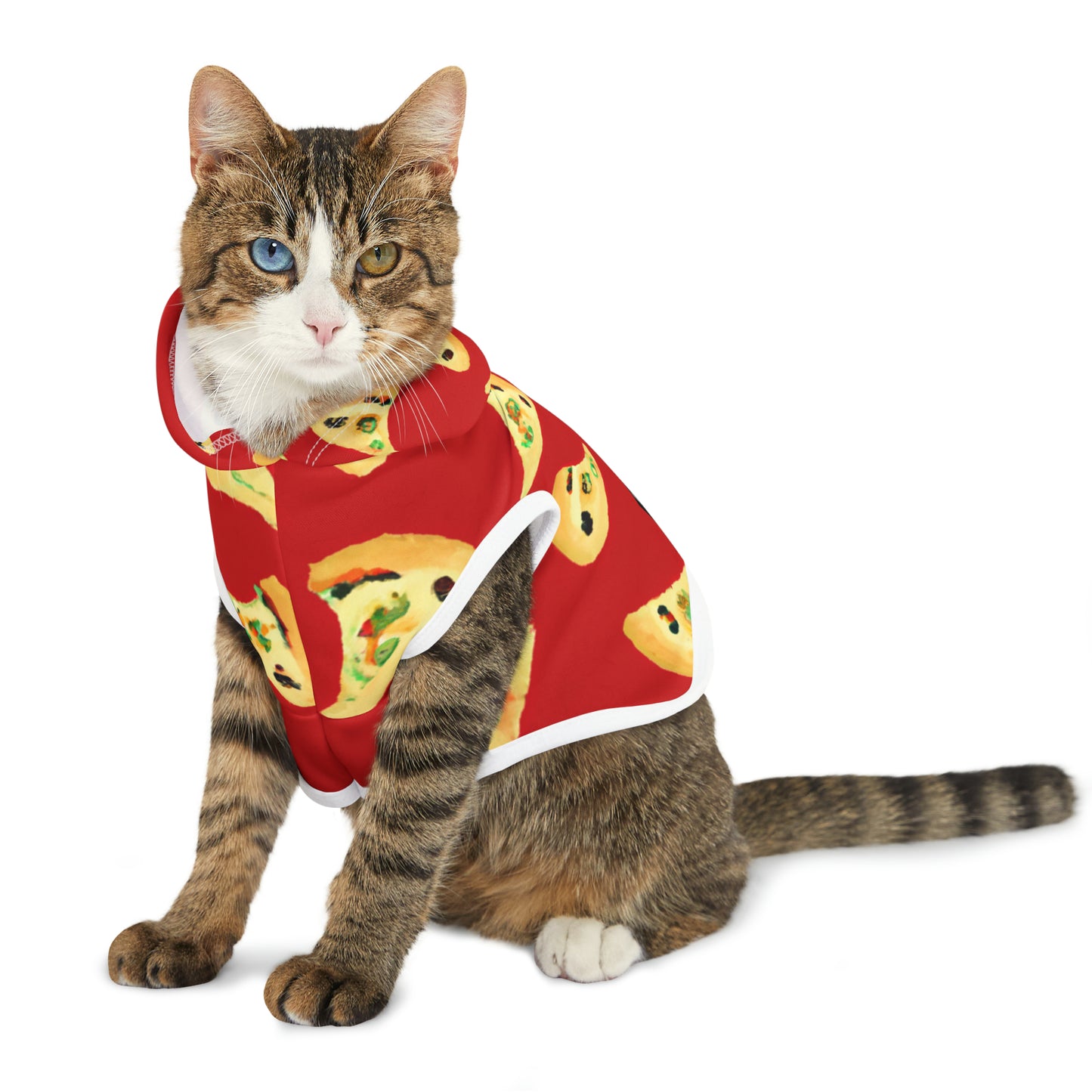 Vintage Val Pizza Day - Pet Hoodie