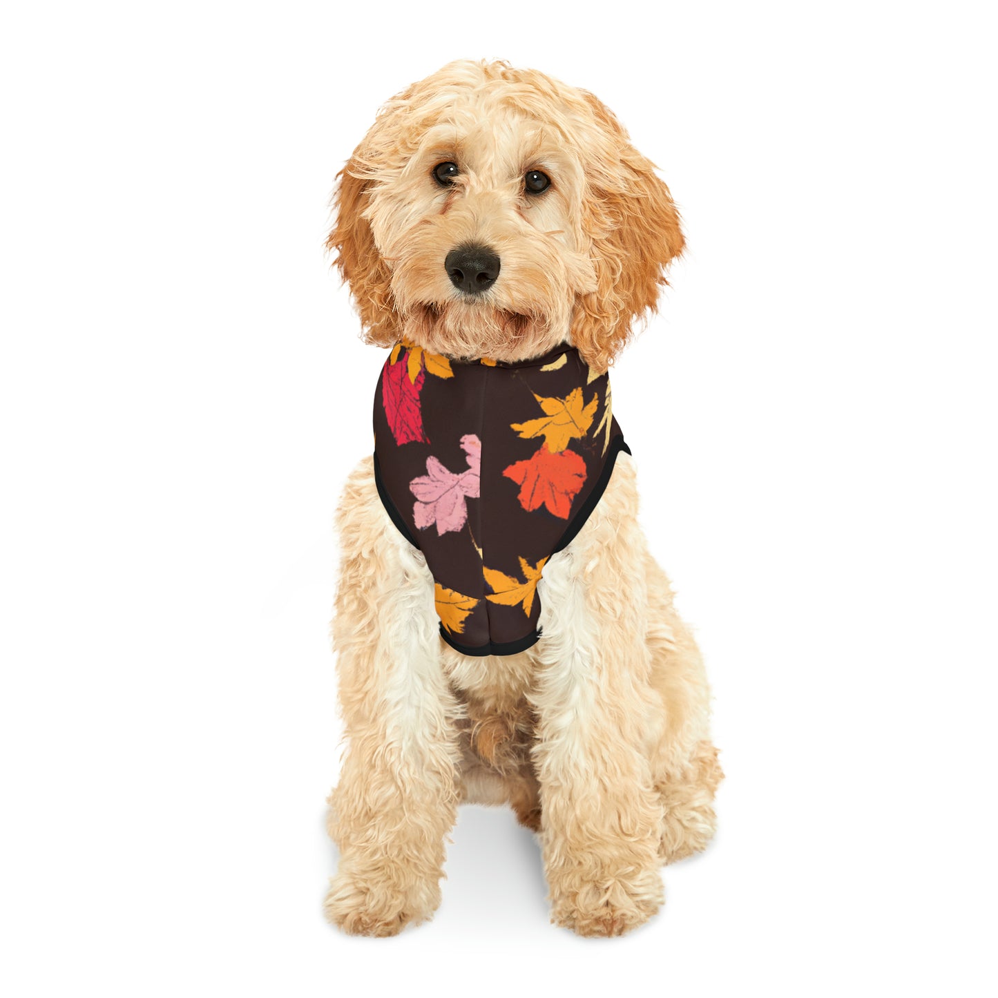 Lisa Von Smiles - Pet Hoodie