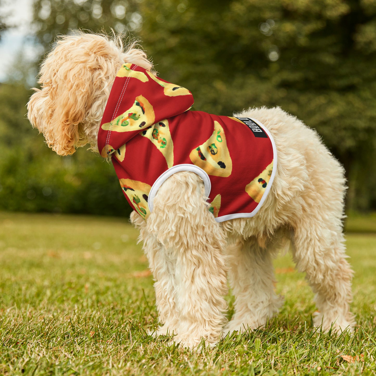 Vintage Val Pizza Day - Pet Hoodie