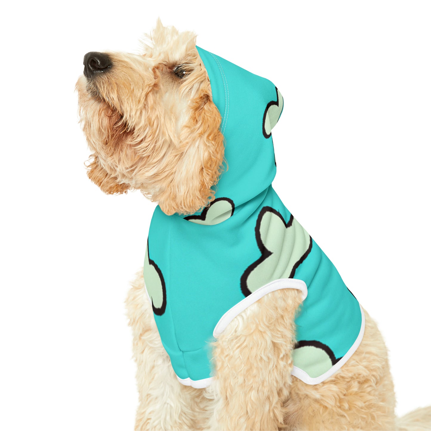 Lola Fandango - Pet Hoodie