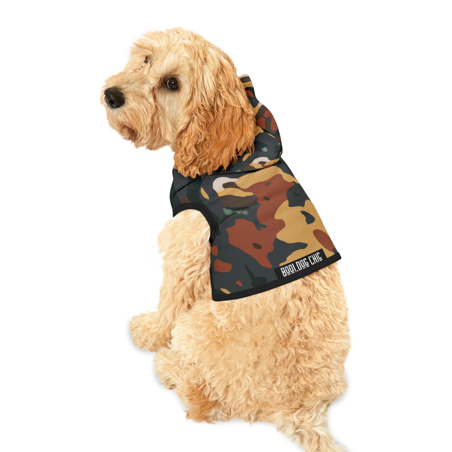 Solomon D'Arcy - Pet Hoodie