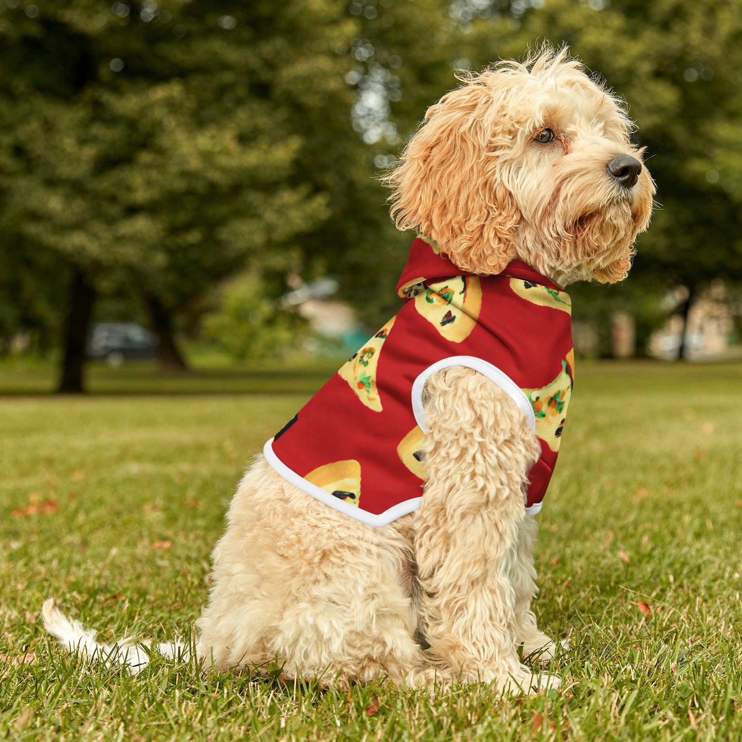 Vintage Val Pizza Day - Pet Hoodie