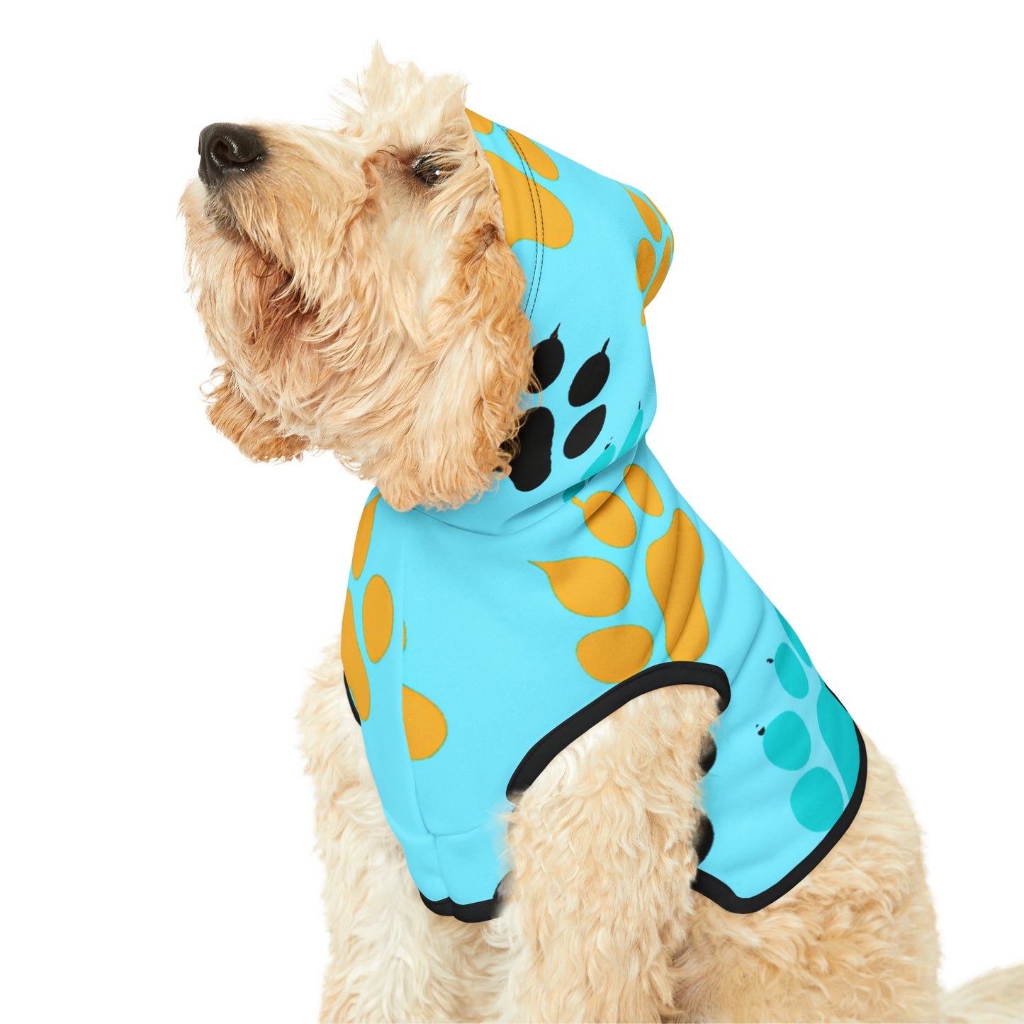 Fiona Flairbrush - Pet Hoodie