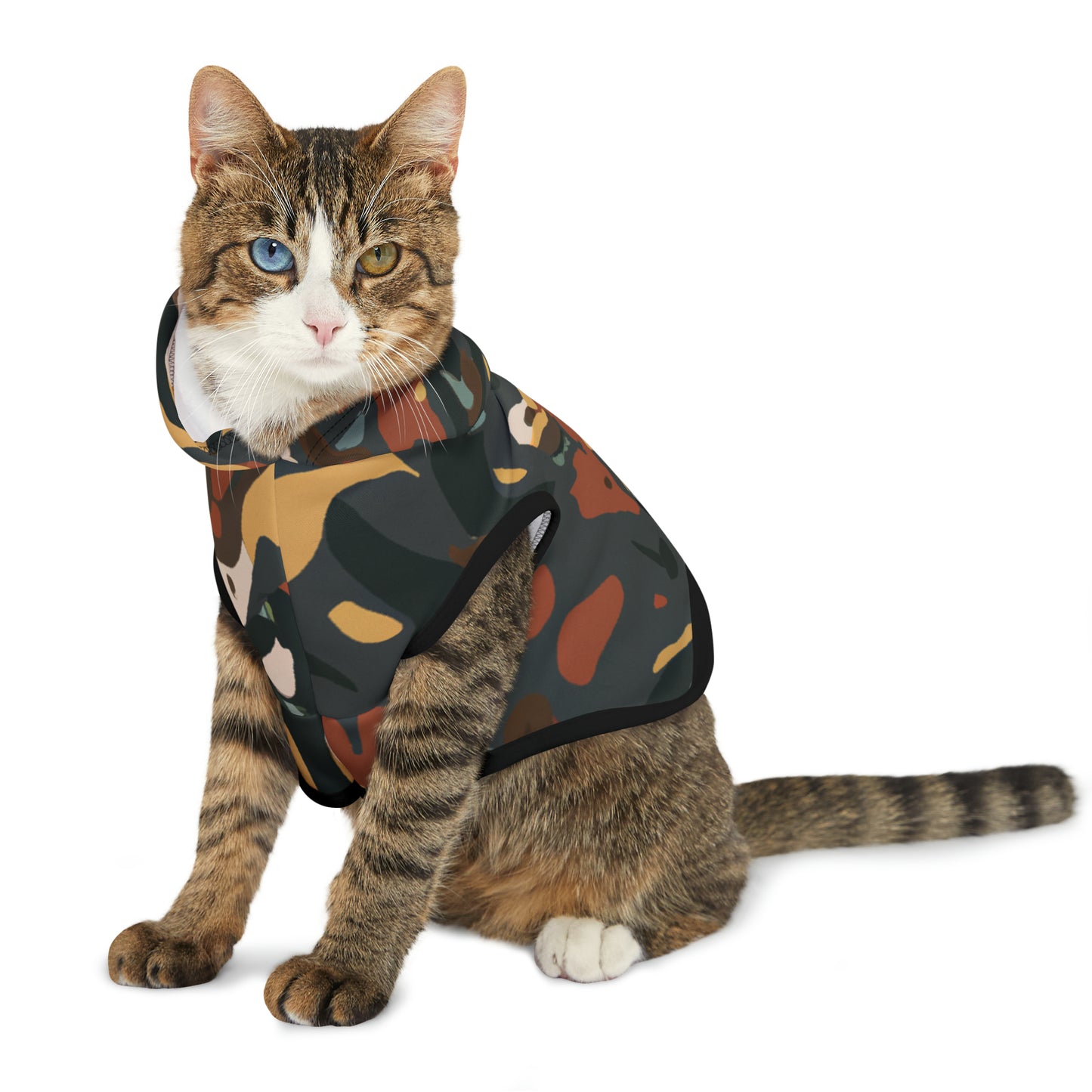 Solomon D'Arcy - Pet Hoodie