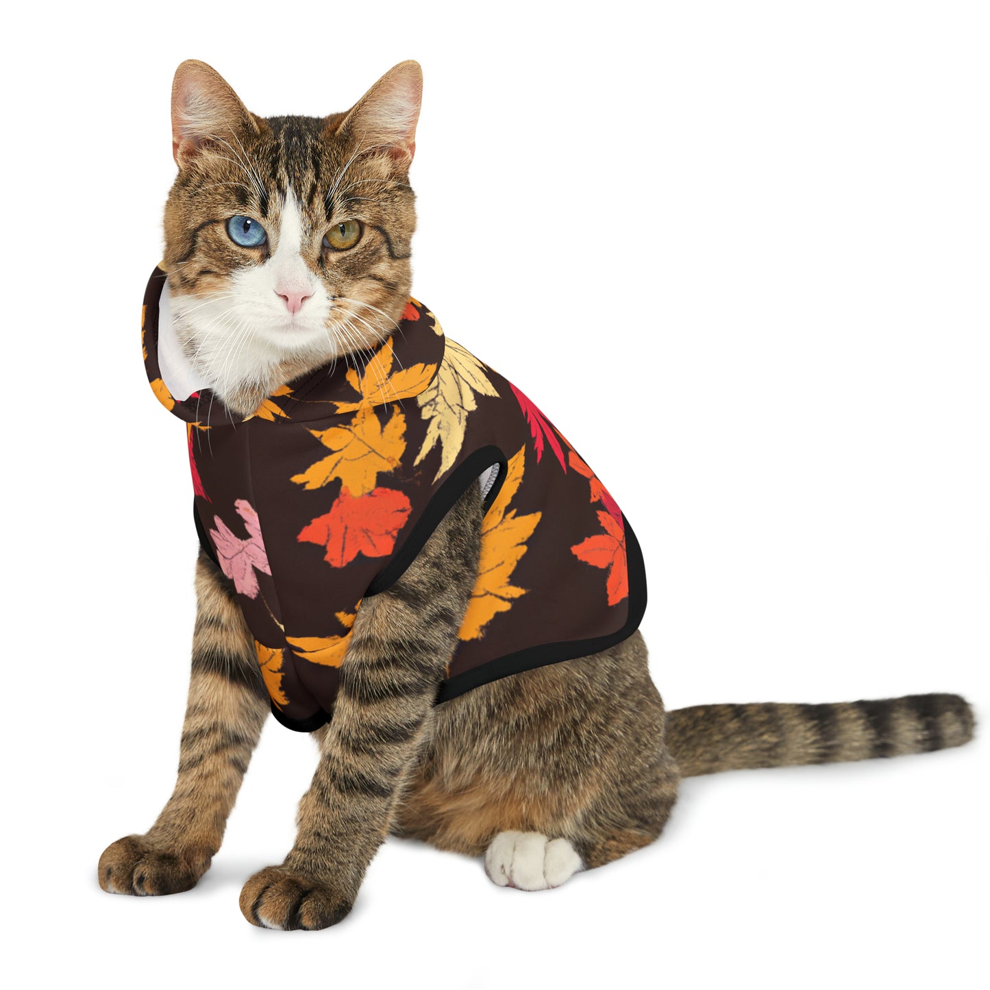 Lisa Von Smiles - Pet Hoodie