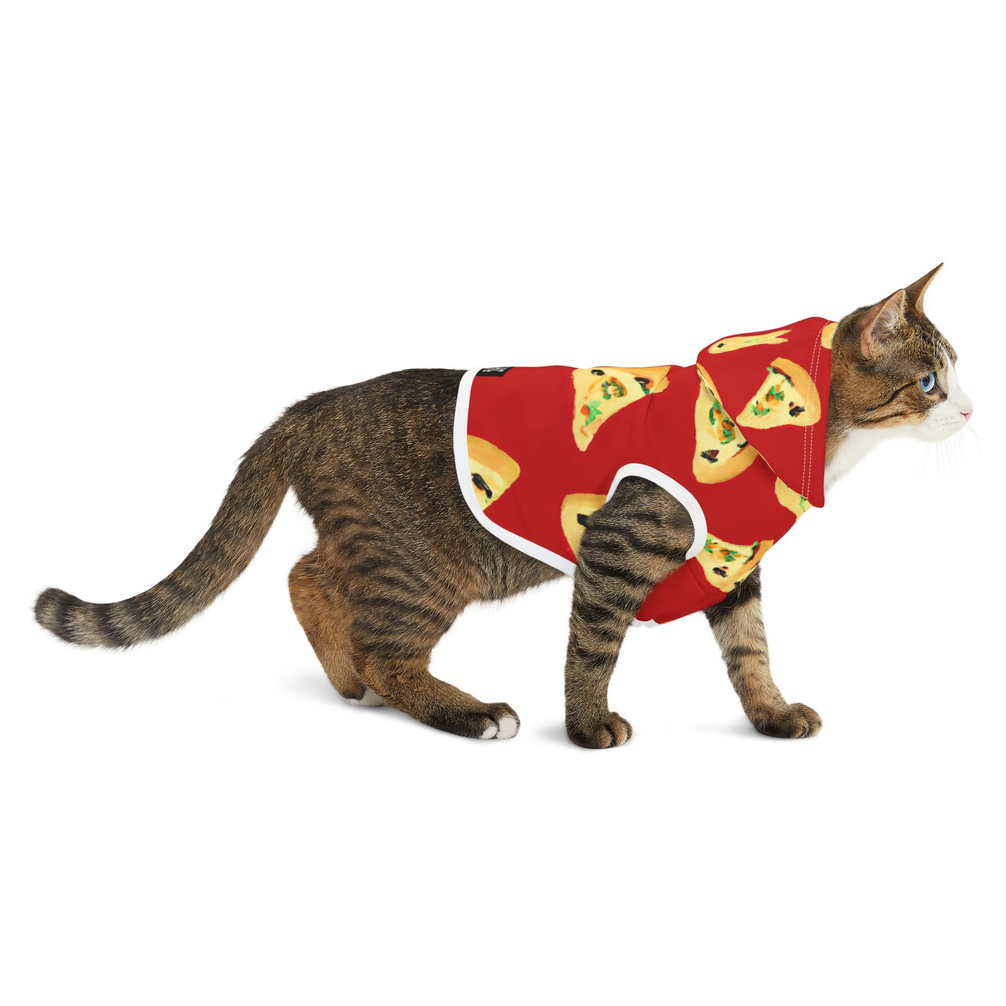 Vintage Val Pizza Day - Pet Hoodie