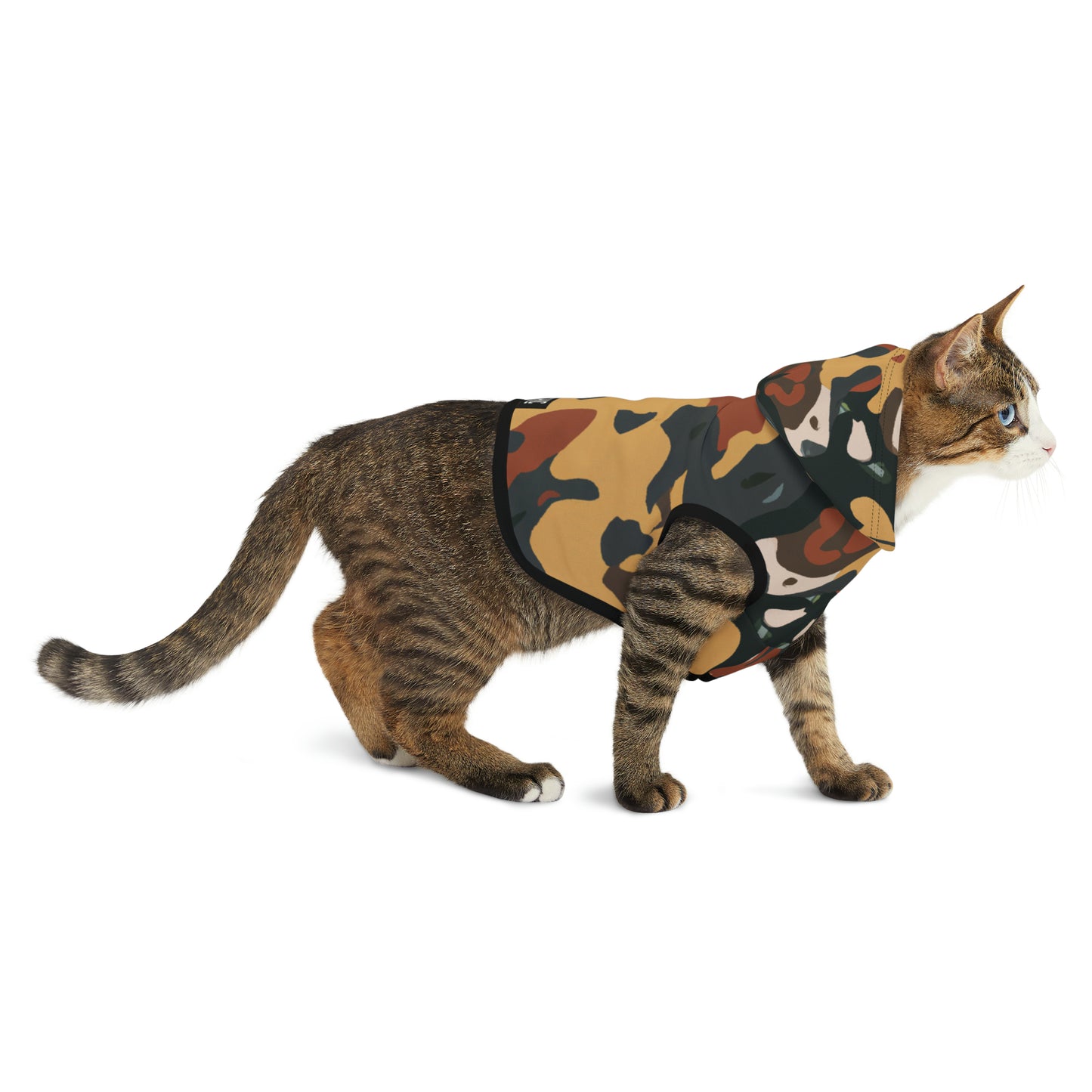 Solomon D'Arcy - Pet Hoodie