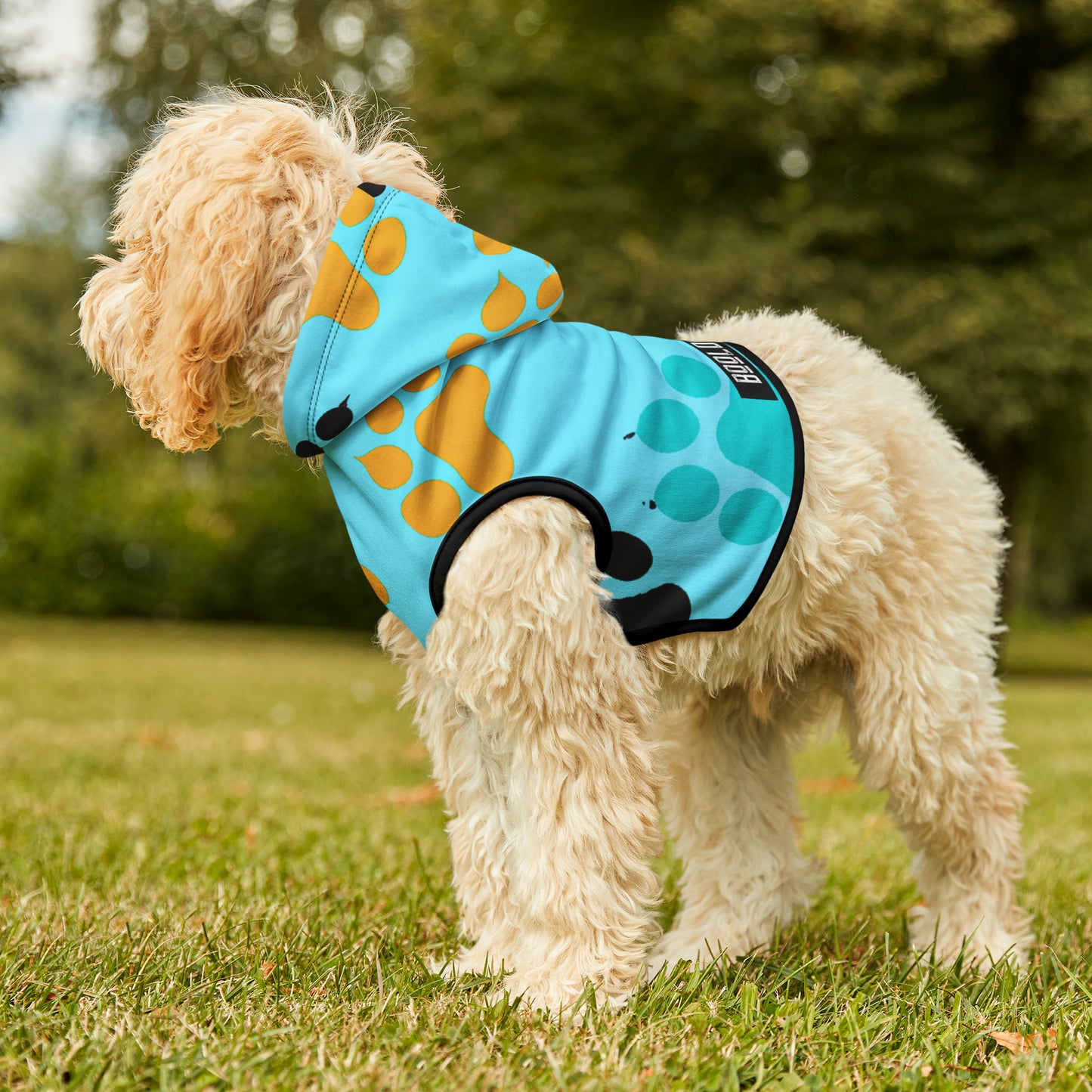 Fiona Flairbrush - Pet Hoodie