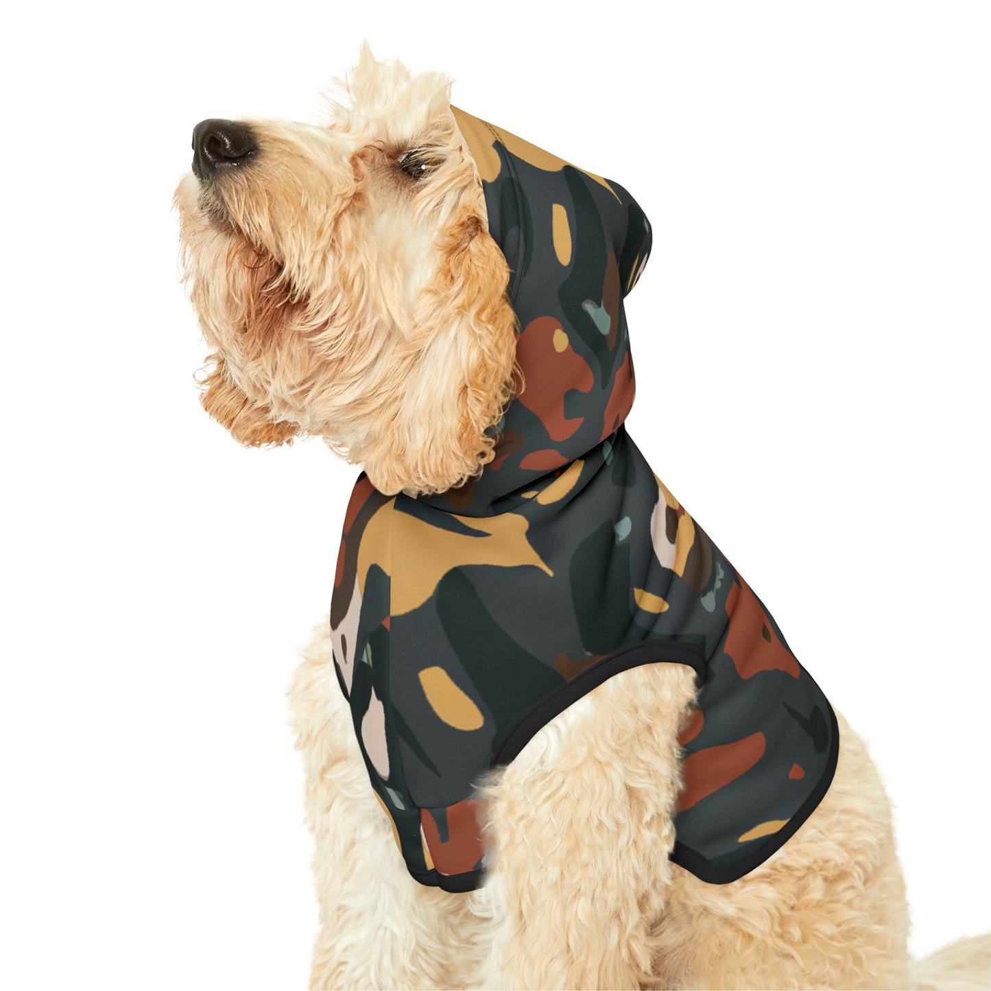 Solomon D'Arcy - Pet Hoodie