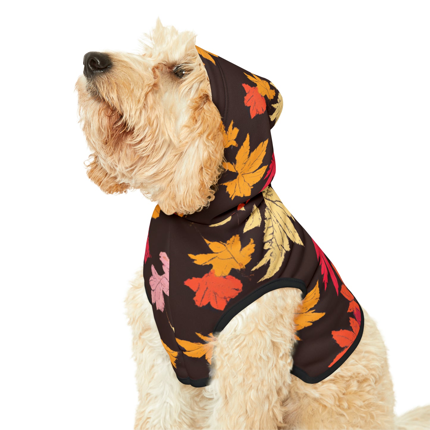 Lisa Von Smiles - Pet Hoodie