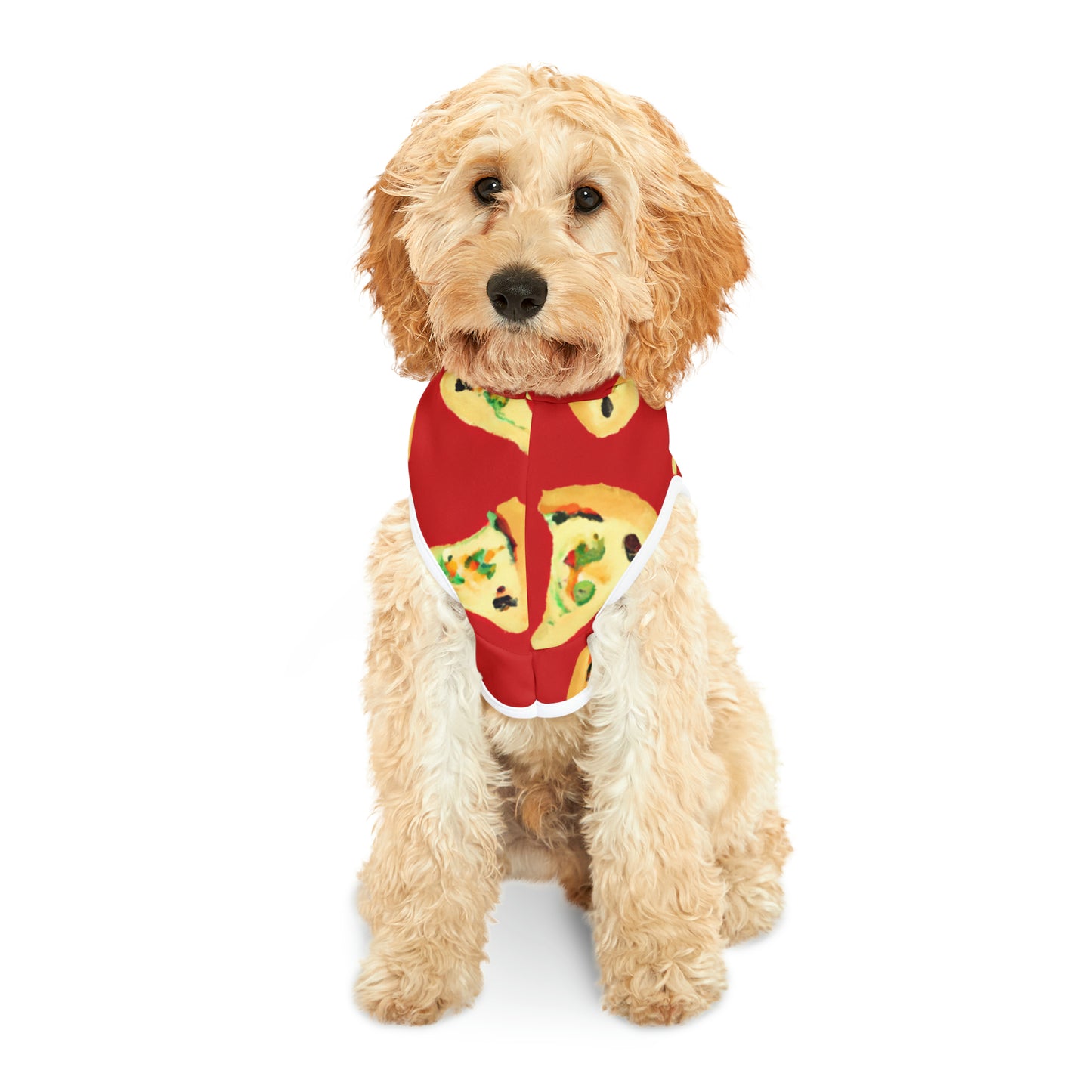 Vintage Val Pizza Day - Pet Hoodie