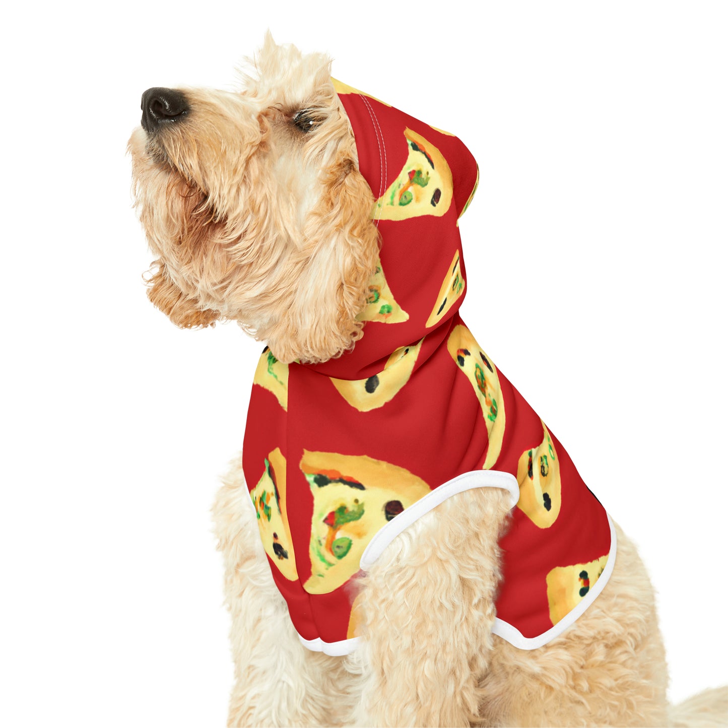 Vintage Val Pizza Day - Pet Hoodie