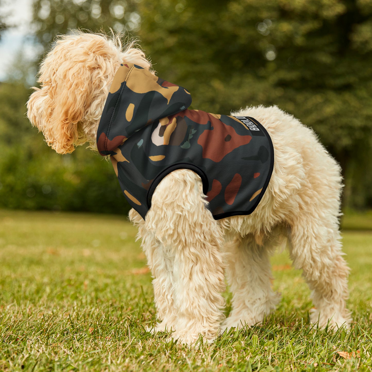 Solomon D'Arcy - Pet Hoodie